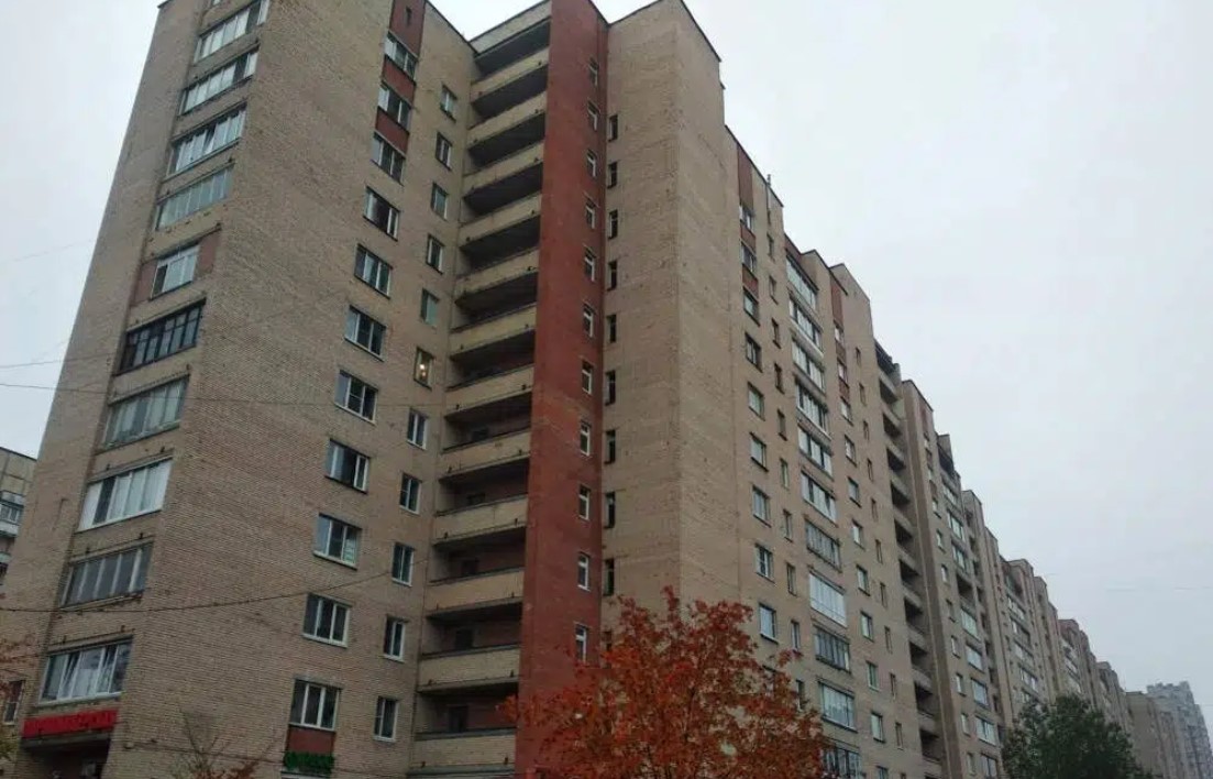 фасад дома, здание по адресу г Санкт-Петербург, пр-кт Просвещения, д 35